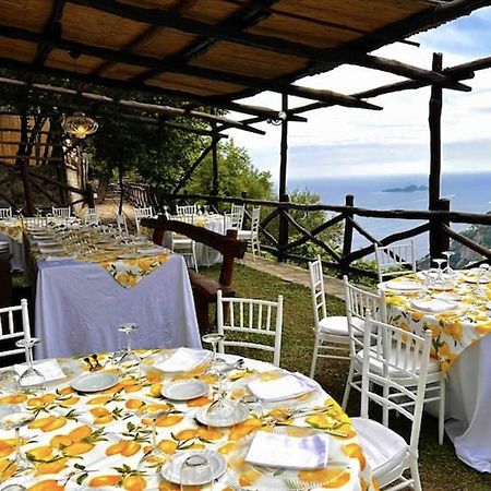 Villa Graziella Positano "A Piece Of Paradise" Dış mekan fotoğraf