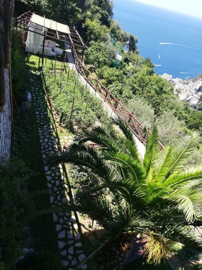 Villa Graziella Positano "A Piece Of Paradise" Dış mekan fotoğraf